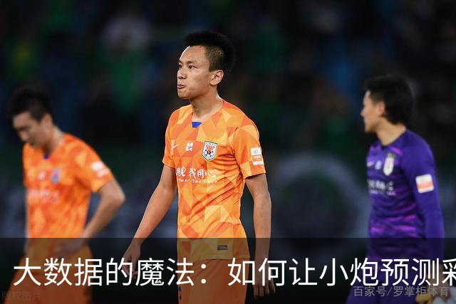 大数据的魔法：如何让小炮预测彩票成真？