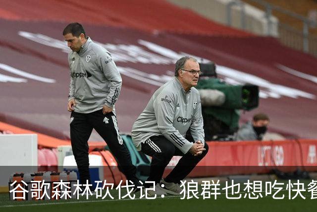 谷歌森林砍伐记：狼群也想吃快餐了！